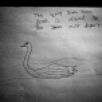 Swan - anon